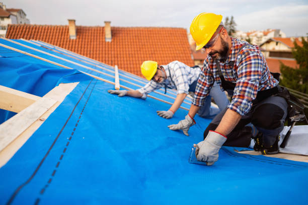 Best Green or Eco-Friendly Roofing Solutions  in Sandpoint, ID